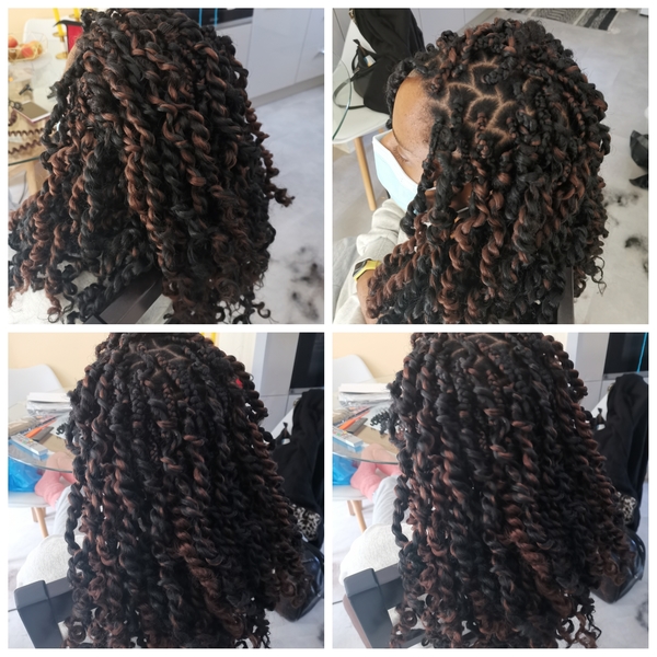 salon de coiffure afro tresse tresses box braids crochet braids vanilles tissages paris 75 77 78 91 92 93 94 95 NHZTIVHG