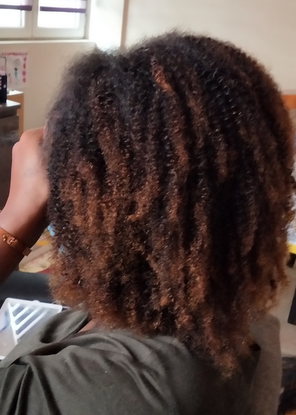 salon de coiffure afro tresse tresses box braids crochet braids vanilles tissages paris 75 77 78 91 92 93 94 95 BSXDLPCP