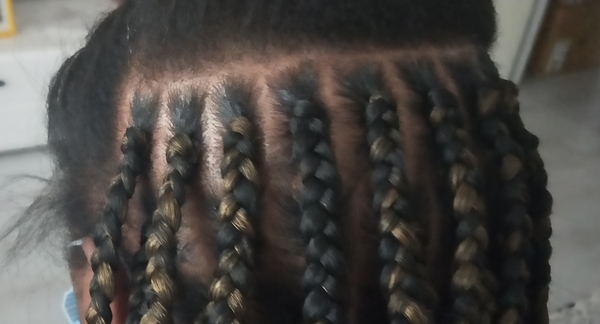 salon de coiffure afro tresse tresses box braids crochet braids vanilles tissages paris 75 77 78 91 92 93 94 95 AGEHOJRL