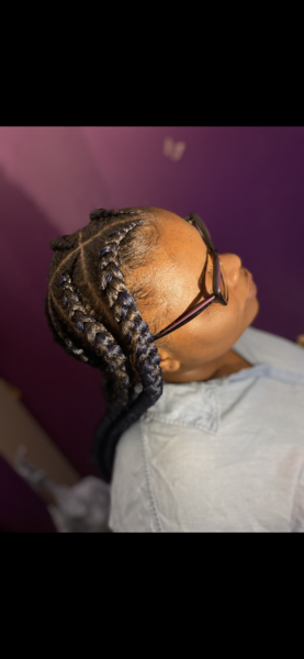 salon de coiffure afro tresse tresses box braids crochet braids vanilles tissages paris 75 77 78 91 92 93 94 95 EVIPRGFY