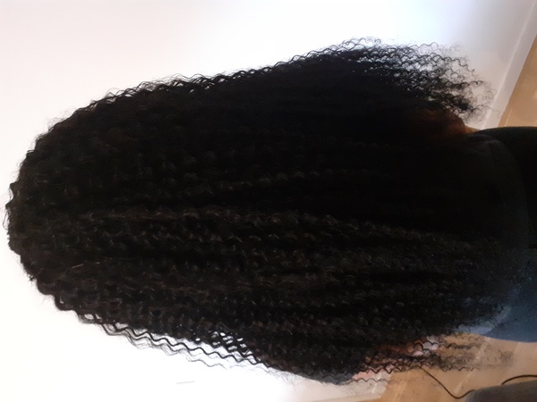 salon de coiffure afro tresse tresses box braids crochet braids vanilles tissages paris 75 77 78 91 92 93 94 95 BMMJEEZE