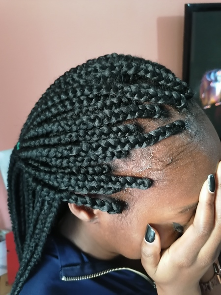 salon de coiffure afro tresse tresses box braids crochet braids vanilles tissages paris 75 77 78 91 92 93 94 95 EEPHPTPJ