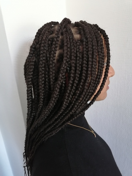 salon de coiffure afro tresse tresses box braids crochet braids vanilles tissages paris 75 77 78 91 92 93 94 95 AHVZQFXC