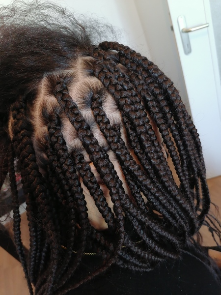 salon de coiffure afro tresse tresses box braids crochet braids vanilles tissages paris 75 77 78 91 92 93 94 95 BFODJSXA