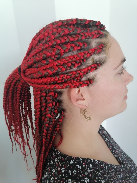 salon de coiffure afro tresse tresses box braids crochet braids vanilles tissages paris 75 77 78 91 92 93 94 95 HNTMANOT