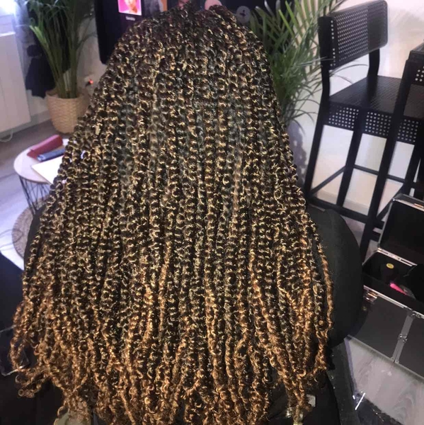 salon de coiffure afro tresse tresses box braids crochet braids vanilles tissages paris 75 77 78 91 92 93 94 95 DPBENLVZ