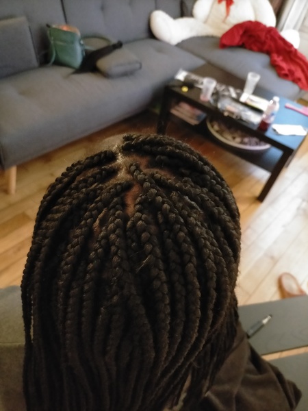 salon de coiffure afro tresse tresses box braids crochet braids vanilles tissages paris 75 77 78 91 92 93 94 95 XRITFWAX