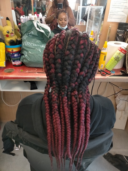 salon de coiffure afro tresse tresses box braids crochet braids vanilles tissages paris 75 77 78 91 92 93 94 95 HUWHBJVG