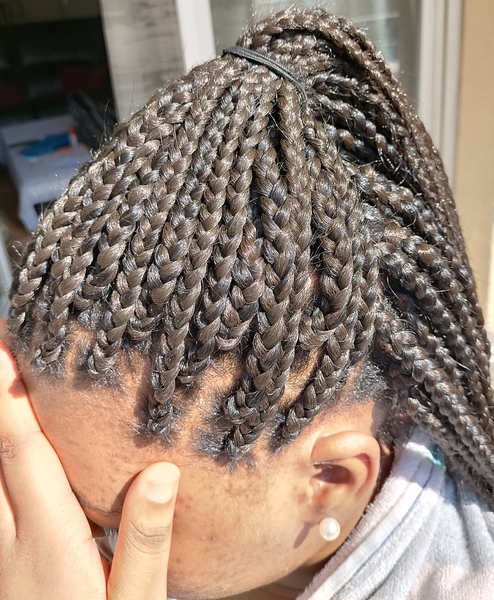 salon de coiffure afro tresse tresses box braids crochet braids vanilles tissages paris 75 77 78 91 92 93 94 95 TBIJHZDQ