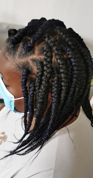 salon de coiffure afro tresse tresses box braids crochet braids vanilles tissages paris 75 77 78 91 92 93 94 95 MJDHWESG