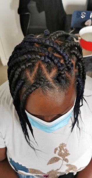 salon de coiffure afro tresse tresses box braids crochet braids vanilles tissages paris 75 77 78 91 92 93 94 95 WDGICMEC