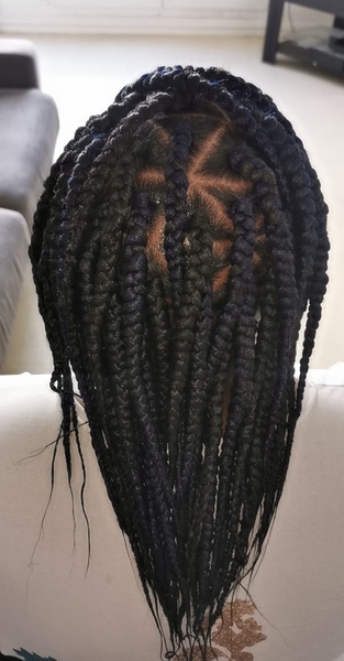 salon de coiffure afro tresse tresses box braids crochet braids vanilles tissages paris 75 77 78 91 92 93 94 95 PHRDONRZ