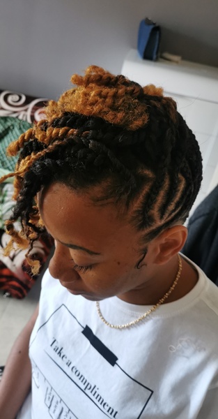 salon de coiffure afro tresse tresses box braids crochet braids vanilles tissages paris 75 77 78 91 92 93 94 95 TXIYNPMG