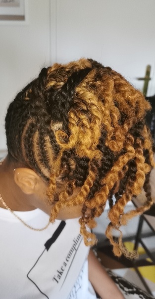 salon de coiffure afro tresse tresses box braids crochet braids vanilles tissages paris 75 77 78 91 92 93 94 95 WILSGXOL