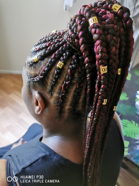 salon de coiffure afro tresse tresses box braids crochet braids vanilles tissages paris 75 77 78 91 92 93 94 95 BMTKJYRR