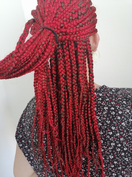 salon de coiffure afro tresse tresses box braids crochet braids vanilles tissages paris 75 77 78 91 92 93 94 95 JPJBNURU