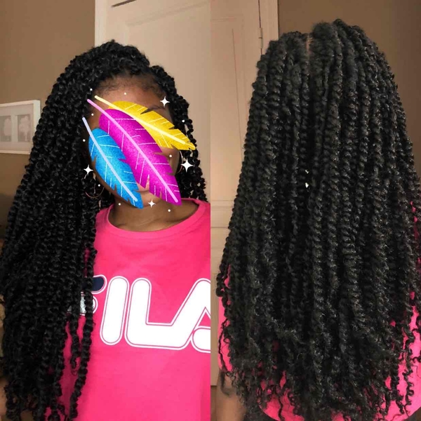 salon de coiffure afro tresse tresses box braids crochet braids vanilles tissages paris 75 77 78 91 92 93 94 95 QHTWAPJH