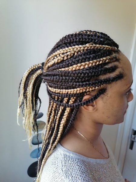 salon de coiffure afro tresse tresses box braids crochet braids vanilles tissages paris 75 77 78 91 92 93 94 95 YMFJBLSD