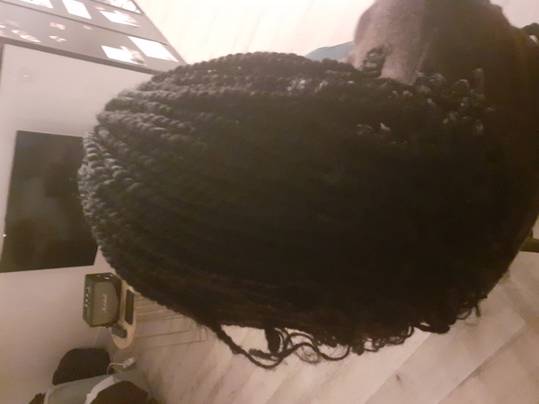 salon de coiffure afro tresse tresses box braids crochet braids vanilles tissages paris 75 77 78 91 92 93 94 95 EAJPVTBM
