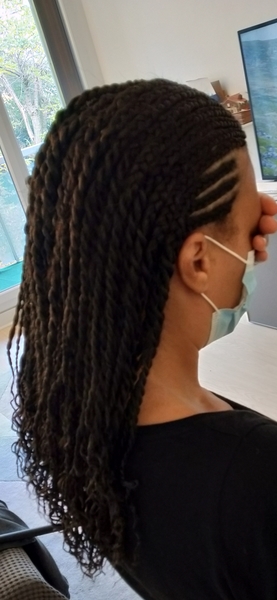 salon de coiffure afro tresse tresses box braids crochet braids vanilles tissages paris 75 77 78 91 92 93 94 95 LPBILYCV