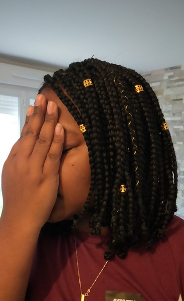 salon de coiffure afro tresse tresses box braids crochet braids vanilles tissages paris 75 77 78 91 92 93 94 95 HUHQRDQR