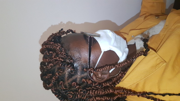 salon de coiffure afro tresse tresses box braids crochet braids vanilles tissages paris 75 77 78 91 92 93 94 95 LNSLBMKW