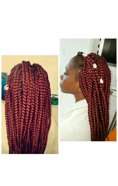 salon de coiffure afro tresse tresses box braids crochet braids vanilles tissages paris 75 77 78 91 92 93 94 95 JSPSUGTL