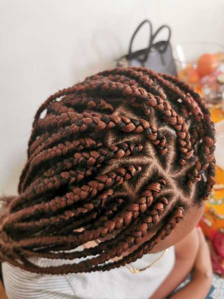 salon de coiffure afro tresse tresses box braids crochet braids vanilles tissages paris 75 77 78 91 92 93 94 95 DWJEGCMH