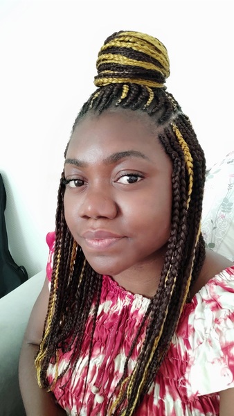 salon de coiffure afro tresse tresses box braids crochet braids vanilles tissages paris 75 77 78 91 92 93 94 95 LUZMFKZR