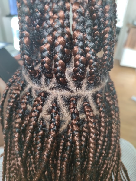 salon de coiffure afro tresse tresses box braids crochet braids vanilles tissages paris 75 77 78 91 92 93 94 95 HNYODYWL