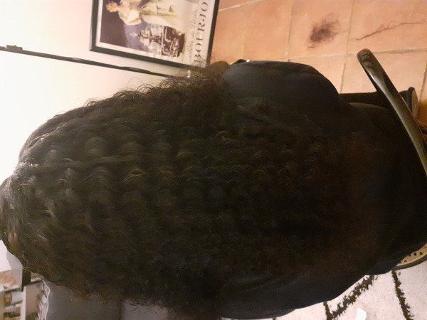 salon de coiffure afro tresse tresses box braids crochet braids vanilles tissages paris 75 77 78 91 92 93 94 95 CYYYRXOI