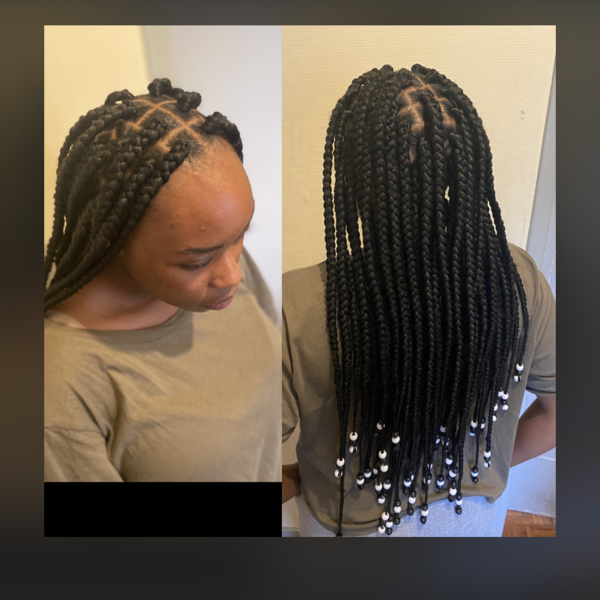 salon de coiffure afro tresse tresses box braids crochet braids vanilles tissages paris 75 77 78 91 92 93 94 95 SCDIMNMP