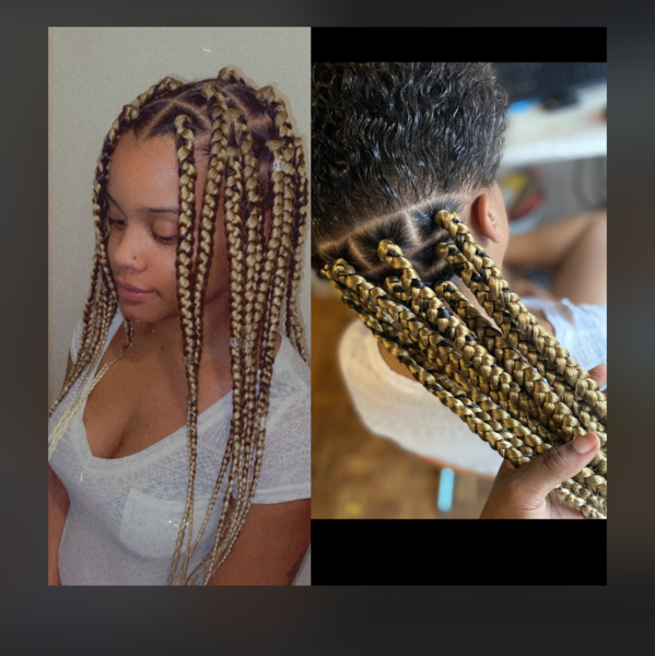 salon de coiffure afro tresse tresses box braids crochet braids vanilles tissages paris 75 77 78 91 92 93 94 95 JFZYGAIQ