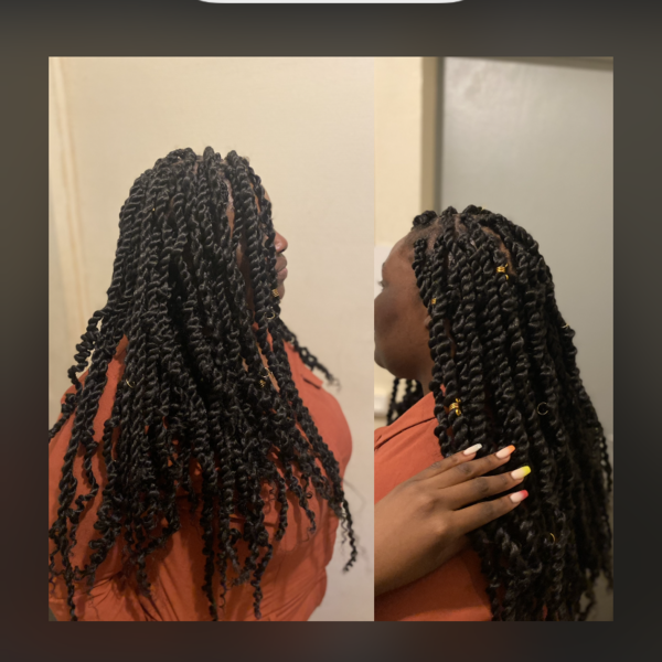 salon de coiffure afro tresse tresses box braids crochet braids vanilles tissages paris 75 77 78 91 92 93 94 95 LLDEMUWB