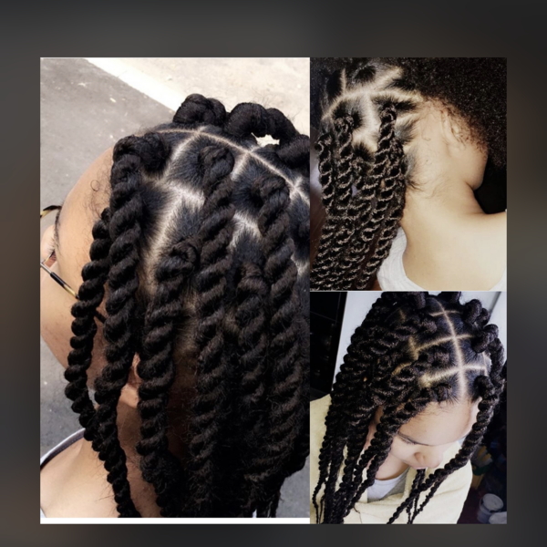 salon de coiffure afro tresse tresses box braids crochet braids vanilles tissages paris 75 77 78 91 92 93 94 95 NSEJUBHG
