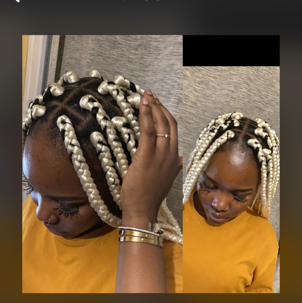 salon de coiffure afro tresse tresses box braids crochet braids vanilles tissages paris 75 77 78 91 92 93 94 95 FMNIGBSU