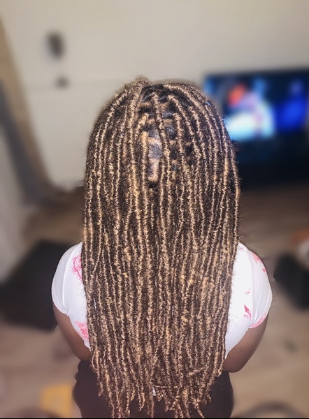 salon de coiffure afro tresse tresses box braids crochet braids vanilles tissages paris 75 77 78 91 92 93 94 95 CEHETYQY