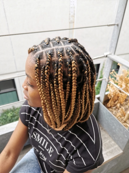salon de coiffure afro tresse tresses box braids crochet braids vanilles tissages paris 75 77 78 91 92 93 94 95 MUOJPSBR