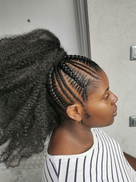 salon de coiffure afro tresse tresses box braids crochet braids vanilles tissages paris 75 77 78 91 92 93 94 95 JLQAPXFF