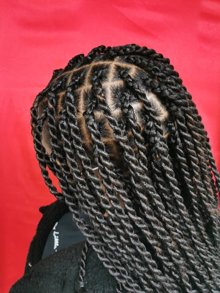 salon de coiffure afro tresse tresses box braids crochet braids vanilles tissages paris 75 77 78 91 92 93 94 95 JTBLHBUD