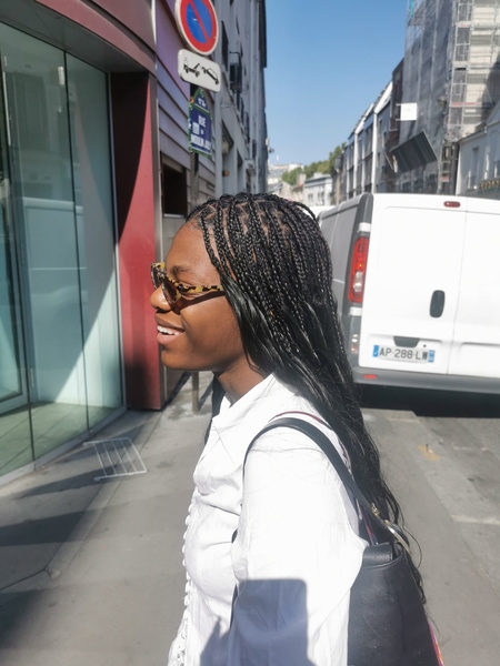 salon de coiffure afro tresse tresses box braids crochet braids vanilles tissages paris 75 77 78 91 92 93 94 95 CUPMBBBI