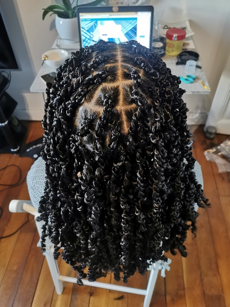 salon de coiffure afro tresse tresses box braids crochet braids vanilles tissages paris 75 77 78 91 92 93 94 95 ZRMCACST