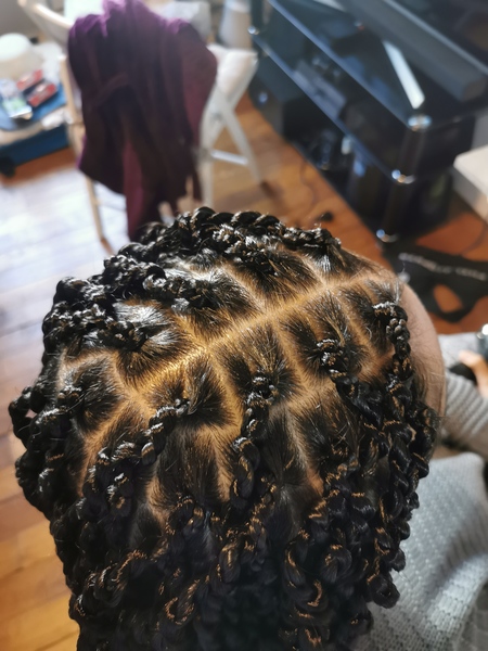 salon de coiffure afro tresse tresses box braids crochet braids vanilles tissages paris 75 77 78 91 92 93 94 95 JUGQMYXR