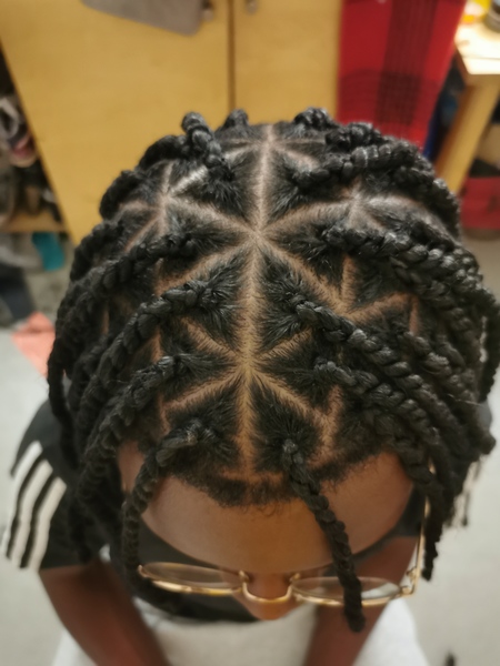 salon de coiffure afro tresse tresses box braids crochet braids vanilles tissages paris 75 77 78 91 92 93 94 95 REDICLCU
