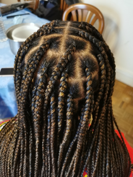 salon de coiffure afro tresse tresses box braids crochet braids vanilles tissages paris 75 77 78 91 92 93 94 95 GVIWLHPH