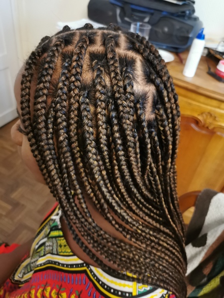 salon de coiffure afro tresse tresses box braids crochet braids vanilles tissages paris 75 77 78 91 92 93 94 95 ZZEDVQLS