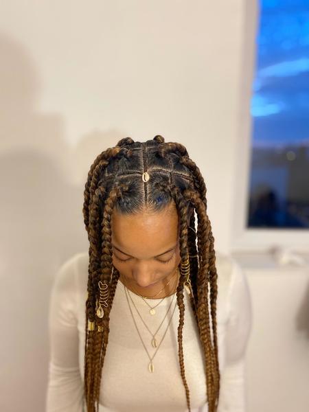salon de coiffure afro tresse tresses box braids crochet braids vanilles tissages paris 75 77 78 91 92 93 94 95 WUZVQARR
