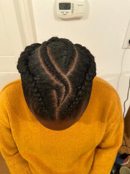 salon de coiffure afro tresse tresses box braids crochet braids vanilles tissages paris 75 77 78 91 92 93 94 95 WCYRPEMS