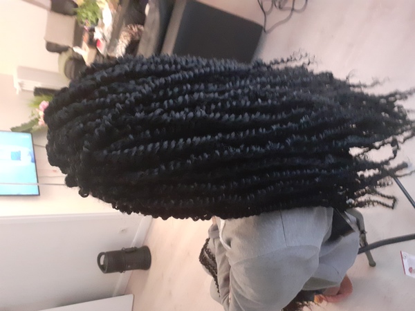 salon de coiffure afro tresse tresses box braids crochet braids vanilles tissages paris 75 77 78 91 92 93 94 95 TUXQSNPH