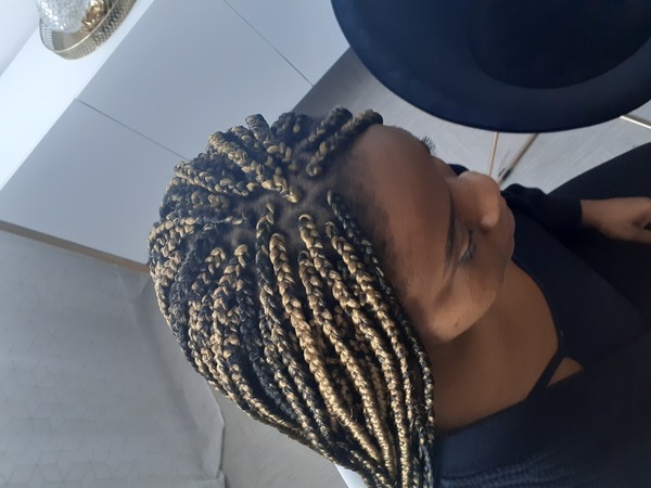 salon de coiffure afro tresse tresses box braids crochet braids vanilles tissages paris 75 77 78 91 92 93 94 95 HAIXXHFZ